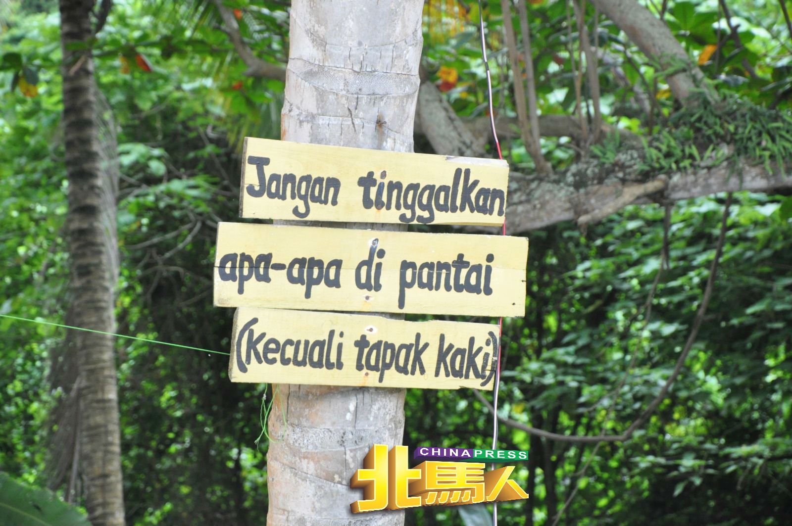 环保工作者在椰树上钉着“除了脚印，别留下任何东西在沙滩”的有趣留言。