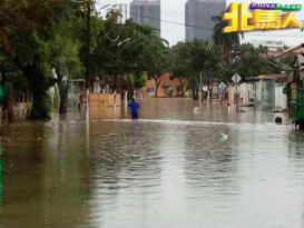 比南利路又淹水   垃圾是祸首之一