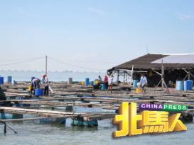 新法评估海上养鱼场租费 临时地契费狂飙400%！