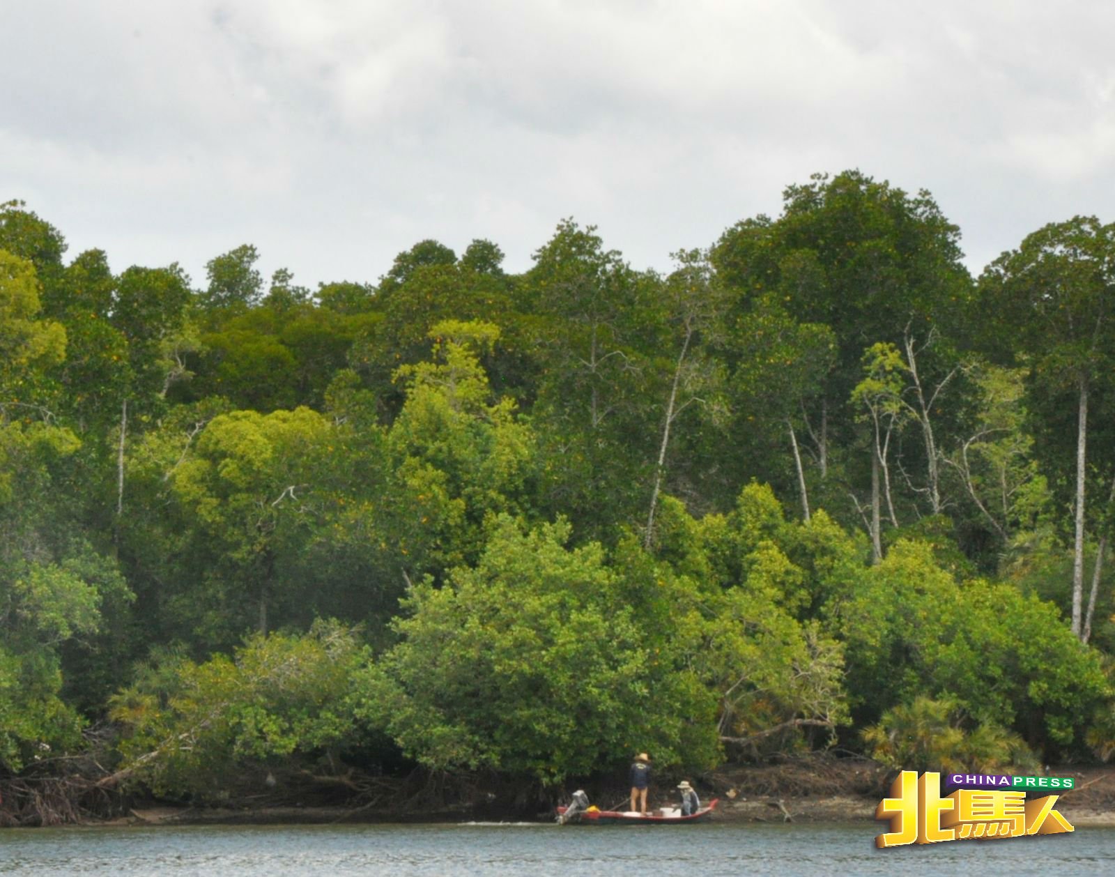 红树林丰富的生物圈再加上傌莫河丰富的渔产是垂钓者的最爱。