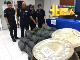 警起获百多公斤葛冬叶 体内藏毒惯犯再落网