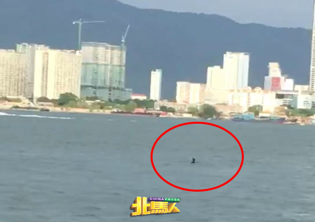 当时有民众拍到坠海者在海上漂浮的视频。