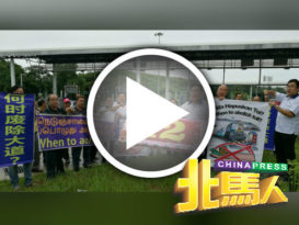 何时废除双溪育大道？ 峇眼马华唱改编生日歌 送火箭　