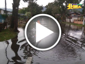 槟岛今午下大雨  多个低洼路面积水