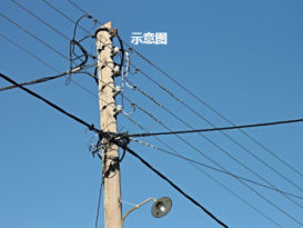 男子不慎触电 死在电线杆旁