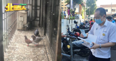 建议州政府购打枪埔空屋 王康立：解决鸽子筑巢问题