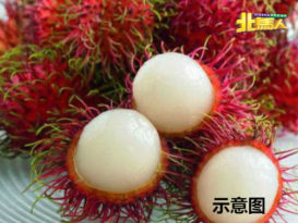 疑吃红毛丹卡喉 3岁男童噎死