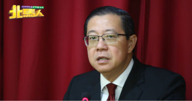 林冠英：国盟为史上首个政府 有副部长吁废多源流学校