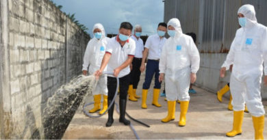地方政府放宽申请程序 曹观友鼓励猪场业者转型