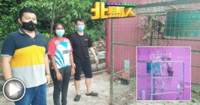 奇！ 9猴身陷捕猴笼 笼外猴群火热救猴