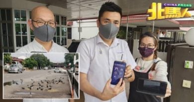 住宅区居民禁喂鸽 方美铼：市厅有权执法