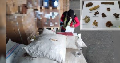 不符进口准证条例 槟检疫局起逾3公吨印尼药材　