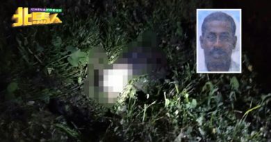 除夕夜夺命意外 印裔骑士坠沟身亡