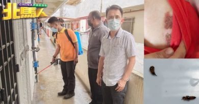 隐翅虫来袭！ 新大发园组屋 10人遭“毒吻”