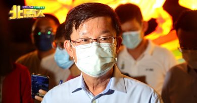 大树倒下压死人 曹观友：家属可向市政厅索赔