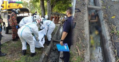 树上采芒果失足 男子坠沟身亡