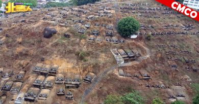 ◤CMCO◢ 清明节正日   义山公冢冷清清空无一人