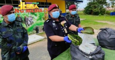 走私葛冬叶仍猖獗      执法员全天候巡边境鼠道