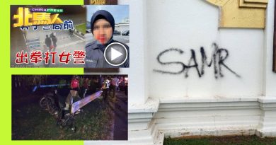 ◤男子拳打女警◢追捕过程 车祸身亡 嫌犯涉涂鸦王宫围墙