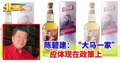 陈碧建：“大马一家” 应体现在政策上