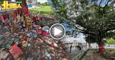 【今日北马头条】POPI你了 你遗弃祂 逾百旧神像 香炉弃树下