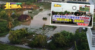 双溪六甲菜园逢雨成灾 各政府部门派员展开行动