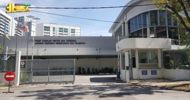 一站式申请狗牌更方便    不必打印照片只需展示