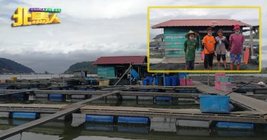 4名缅甸鱼排工人   没合法证件被扣查
