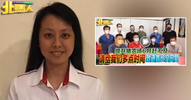 民政促槟政府体恤猪农 提升计划宽限至今年尾