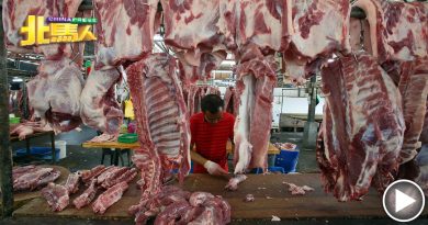 【今日北马头条】 生猪肉再涨价 每只约百多令吉