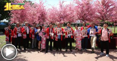 暌违2年后重办 日本盆舞节730约定您