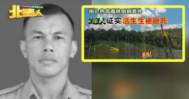 军人森林中被树砸死  5岁儿 似了解 父离世