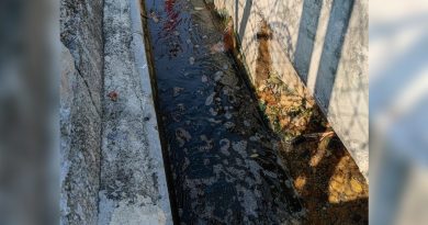 有人家里没水用 这里却净水长流