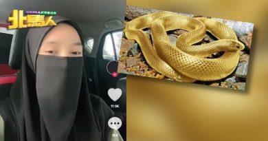 只有梦中相见   女子：我有金蛇双胞姐妹