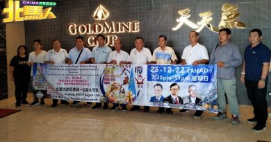 威省大旗鼓舞龙狮大游行 圣诞节隆重复办