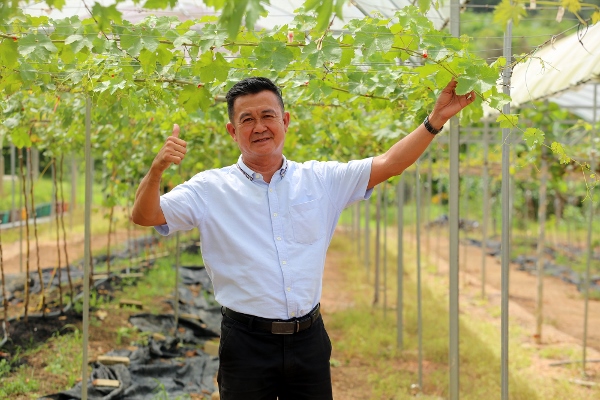 陈顺发希望未来将其果园，打造成生态旅游景区。