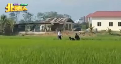 路检时逃走 男子被捕后坦承忘记带驾照