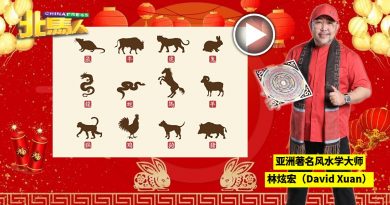 5生肖犯太岁 兔龙马鸡鼠