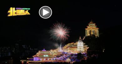 极乐寺亮灯  喜迎癸卯兔年