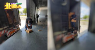 没有准证下走私糯米 2万4500公斤糯米被充公