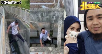 勇敢战胜了恐惧！男子无惧蛇窜出 爬入大水沟救猫咪