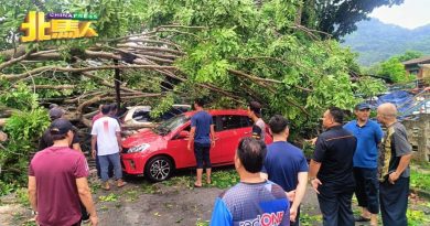 凌晨大风豪雨  公巴7车遭大树压
