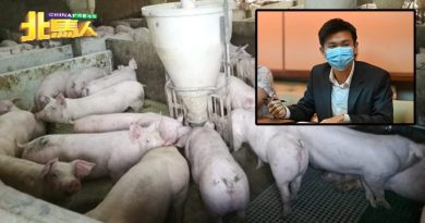 王富生：槟生猪供应充足  部分还能供应到外州