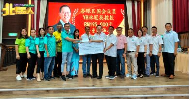林冠英：政府繁文缛节需纠正 盼人民给正副部长时间解决