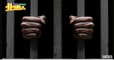 冒充执法员行骗  稻农被判监禁逾26年