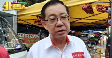 林冠英：选举成绩显示 7至8成公务员支持反对党
