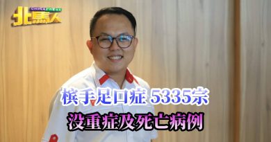 槟手足口症 5335宗 没重症及死亡病例
