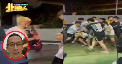 九皇大帝护驾巡境游行爆殴斗 许远达：涉及者非理事会庆委会成员
