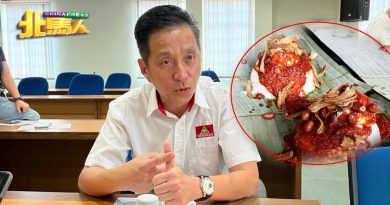 建议禁用椰浆饭  扁担饭名称 胡栋强：“非常霸道！”