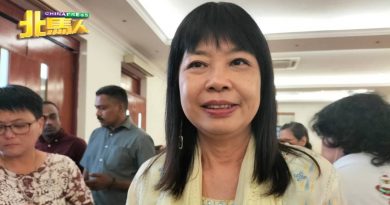 2淡米尔歌曲在嘉年华被禁用 林慧英：保证不会重演
